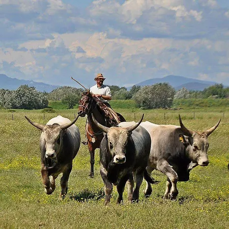 Casale Di Vulci Casa di campagna *